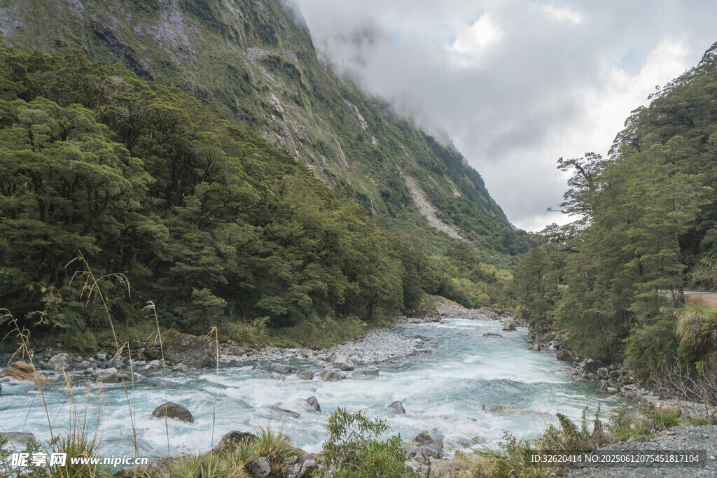山间湍急河流与葱郁植被