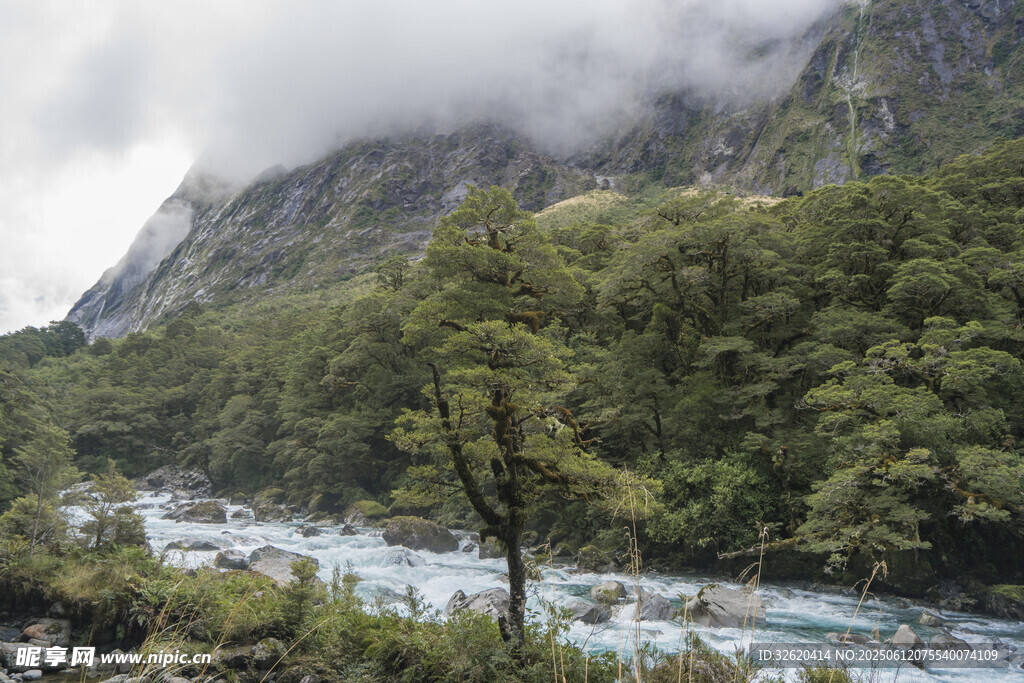 山间云雾缭绕的河流美景