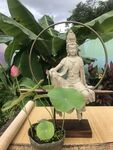 禅意佛像置于绿植环绕中