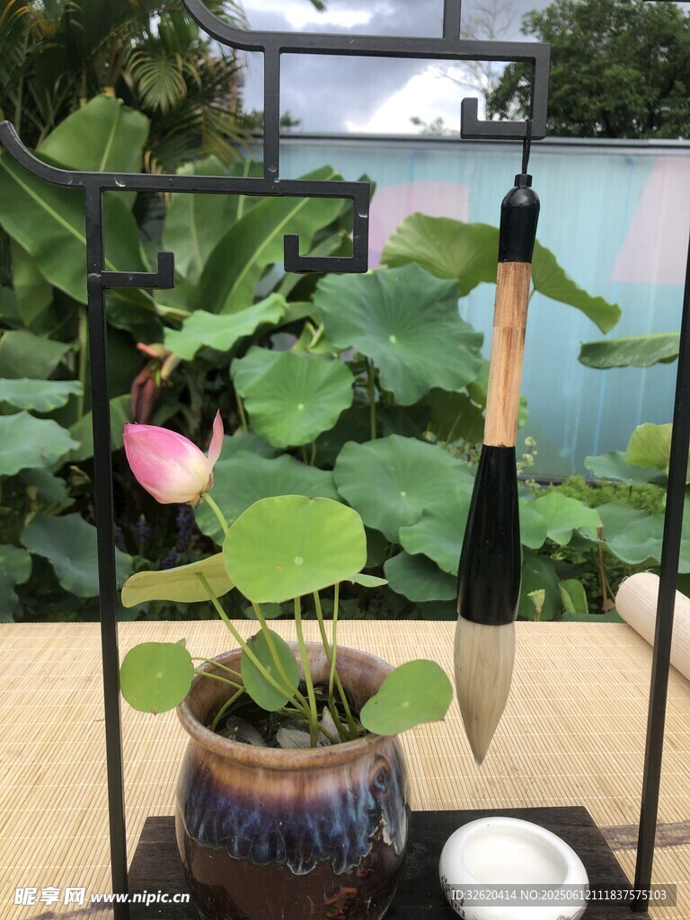 中式盆栽配毛笔 雅致景致