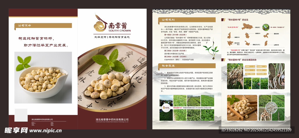 半夏对折页
