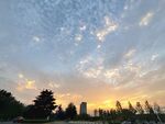 夕阳