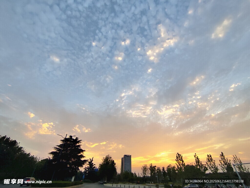 夕阳