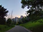 林间小道