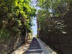山间小道