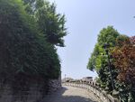 公园小路
