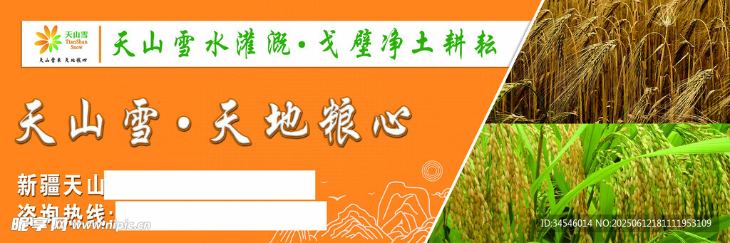 天山雪菊天地滋养