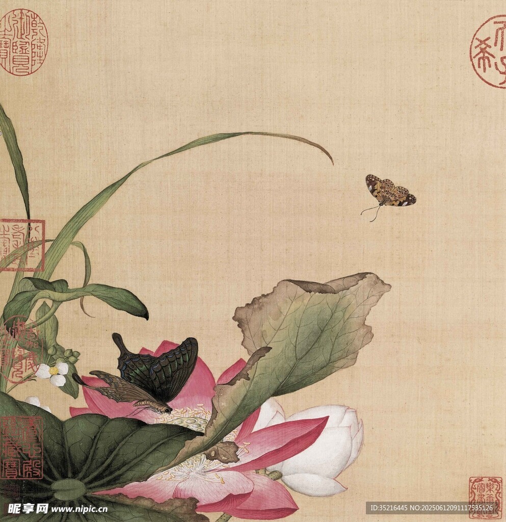 水墨荷花图