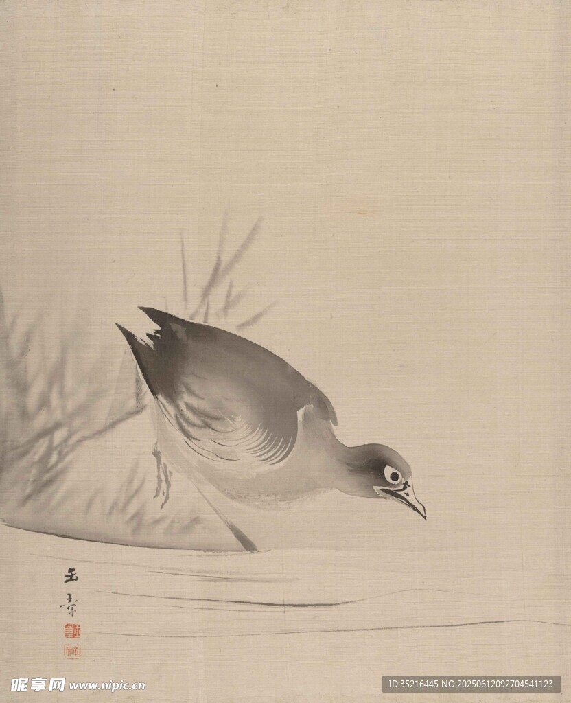 水边栖息的鸟