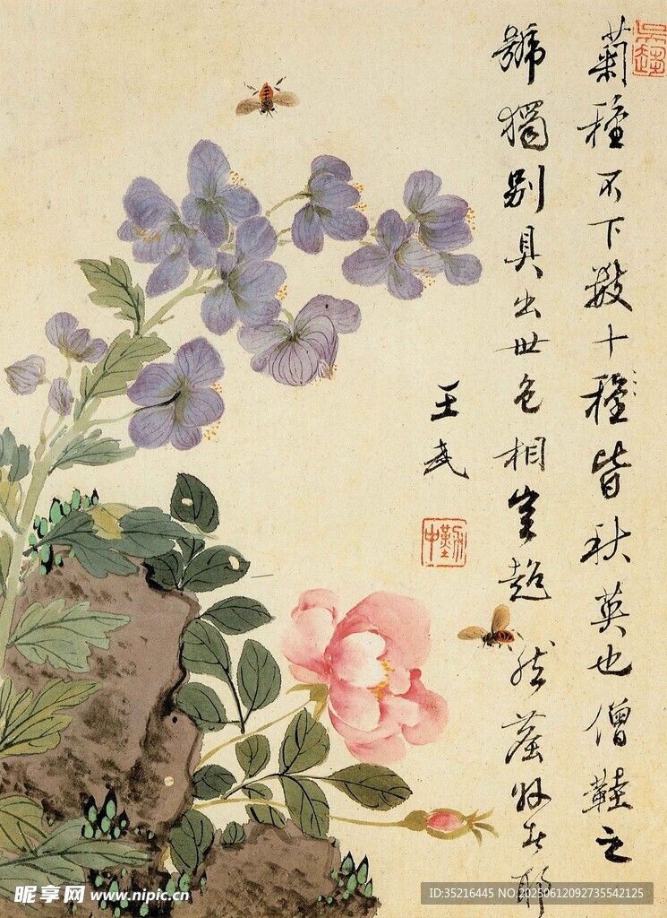 花卉国画