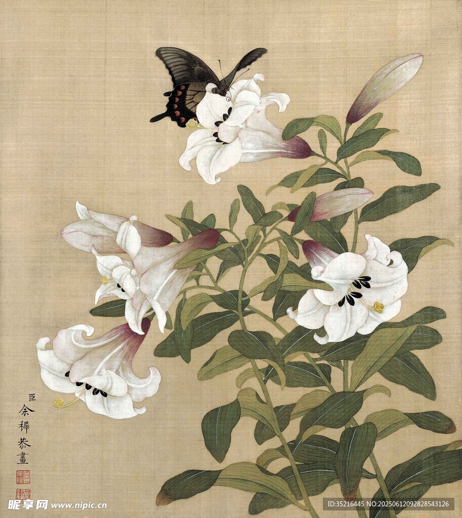 工笔花卉蝴蝶图