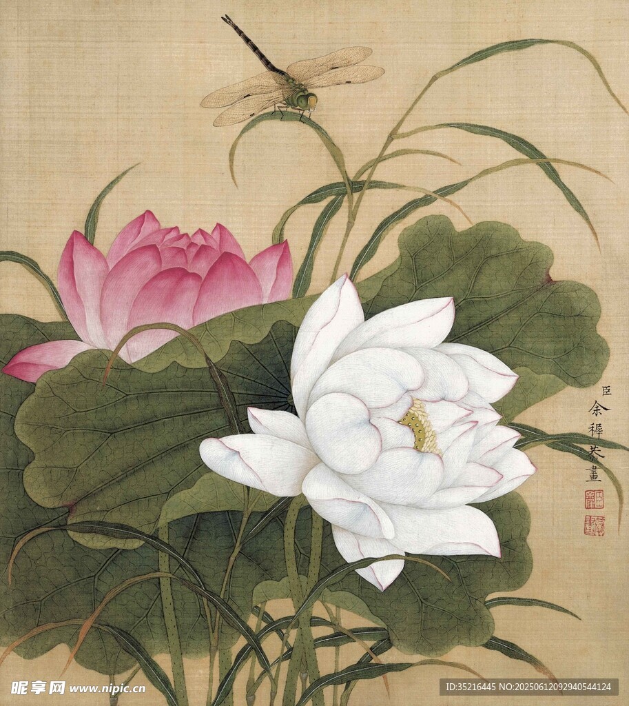 水墨荷花图