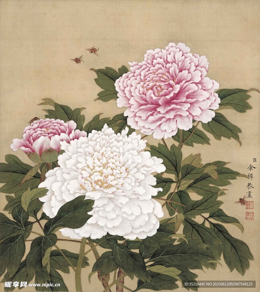 国画牡丹花卉图