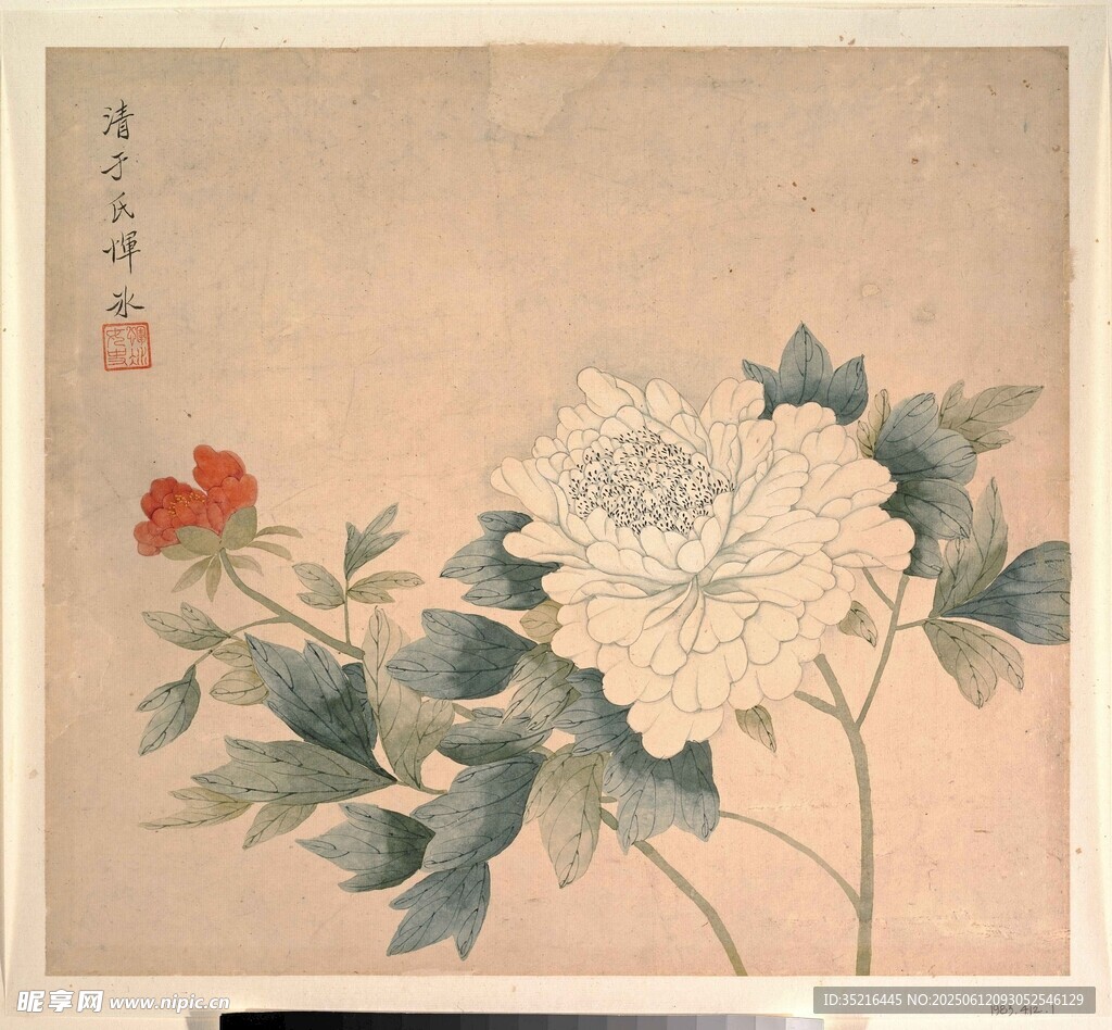 国画牡丹花卉图