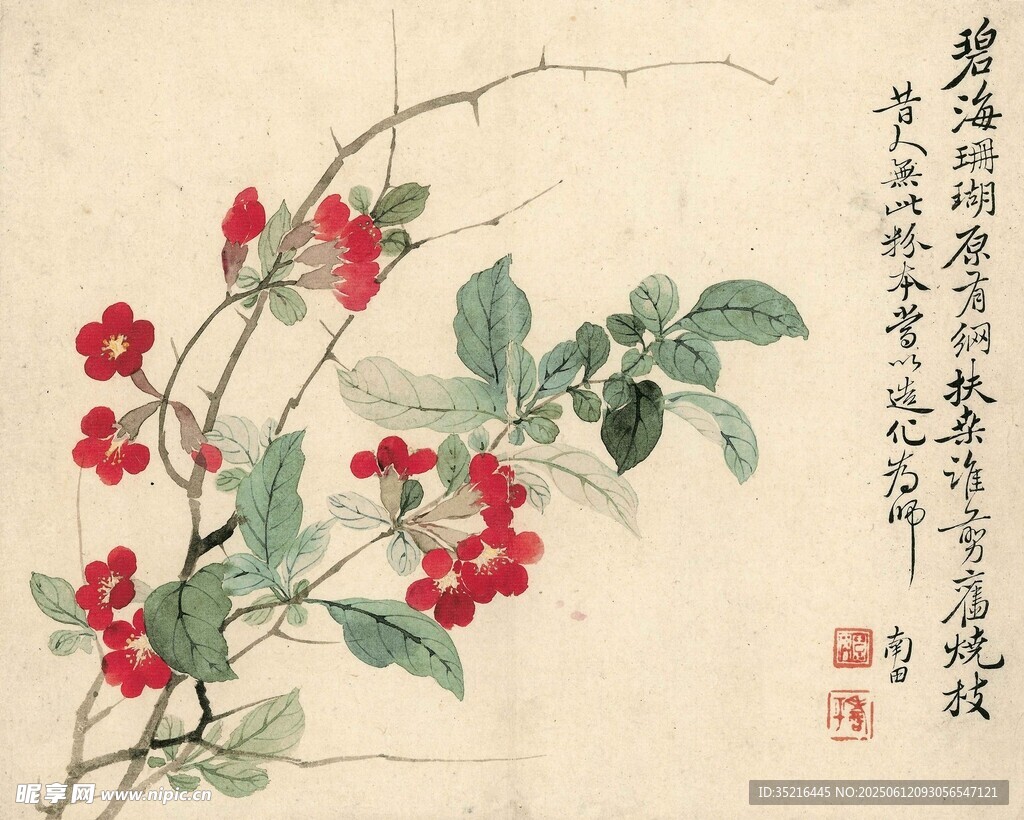 红梅图
