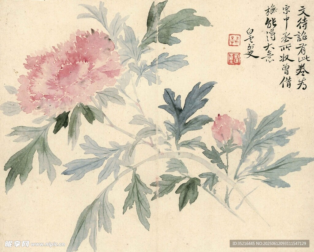国画牡丹花卉图