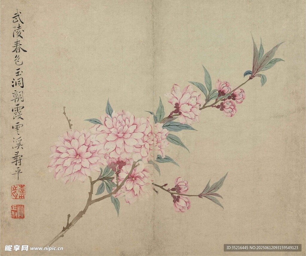 中式桃花工笔画