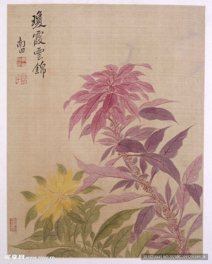 古画花卉图