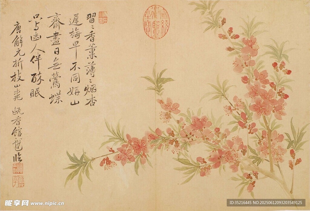 中式花卉国画