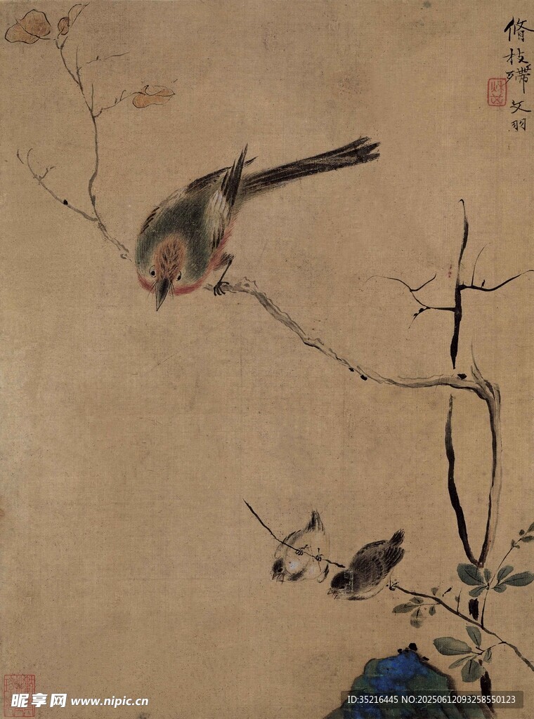枝头双鸟图