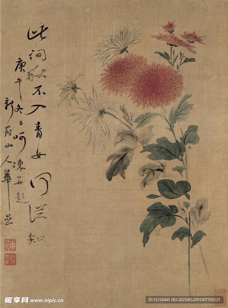 水墨牡丹图
