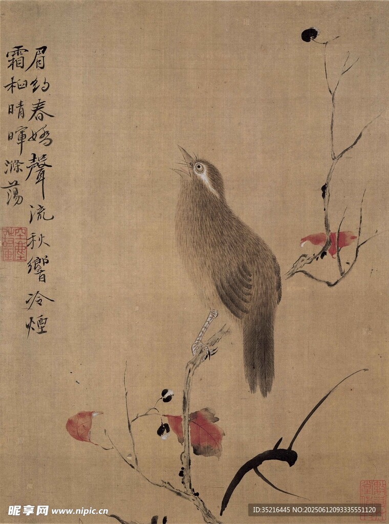 古画中栖息枝头的小鸟