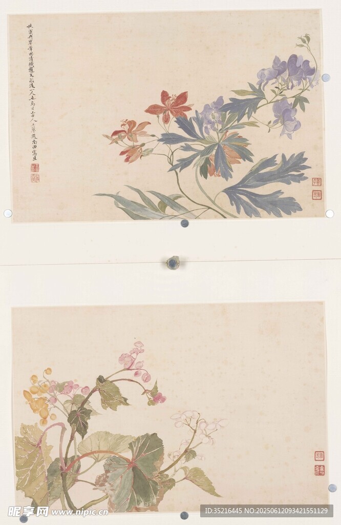 中式花卉绘画作品欣赏