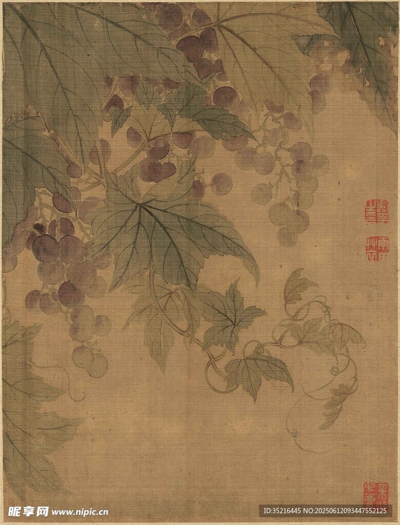 古画中的藤蔓果实景致