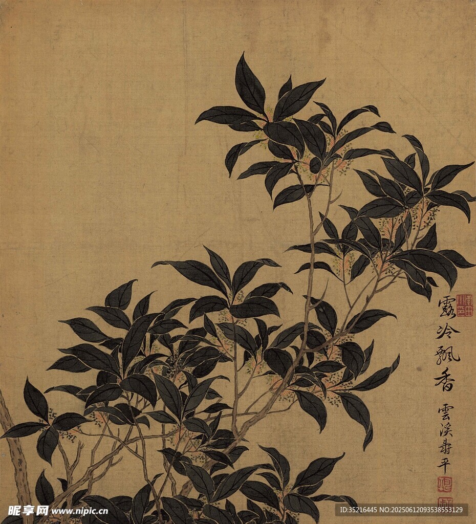 墨竹图