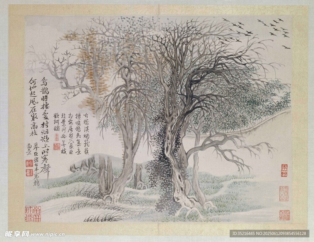 古木幽径图