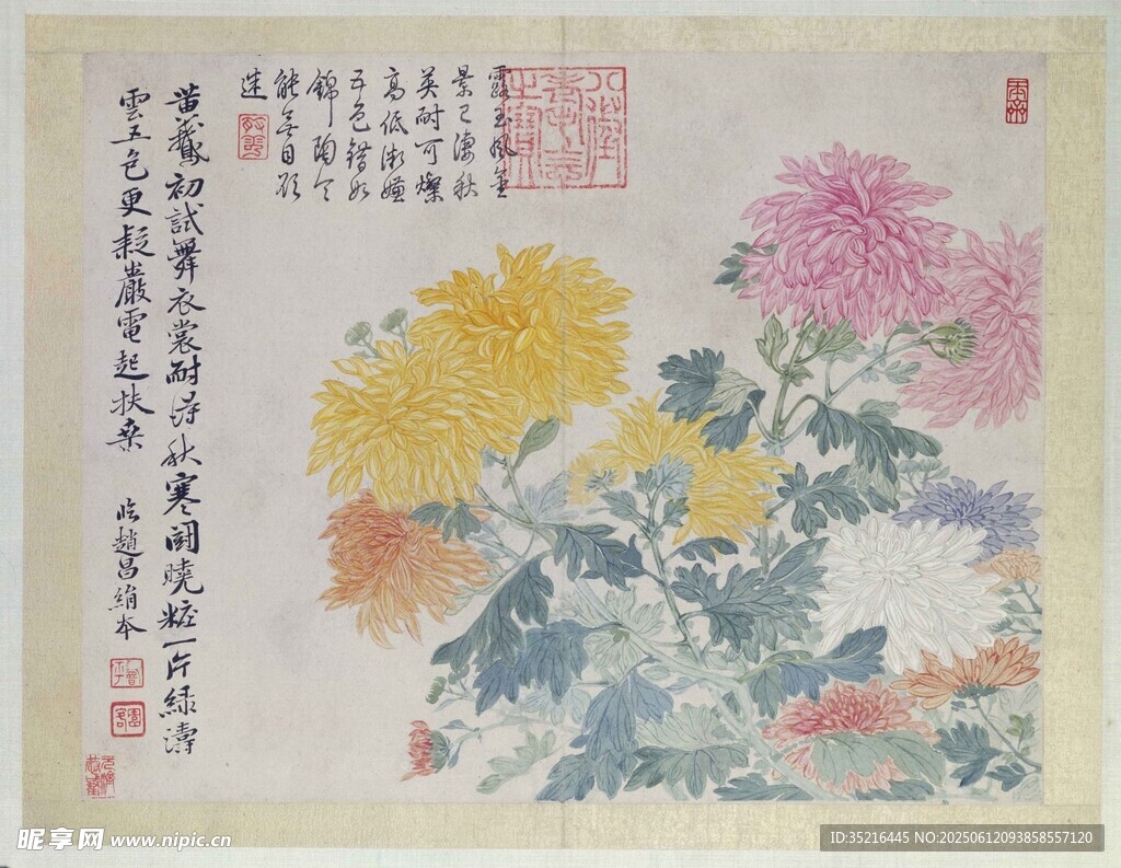 国画花卉图赏