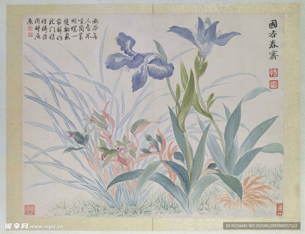 鸢尾花卉国画图