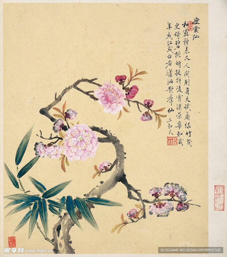 国画花鸟图