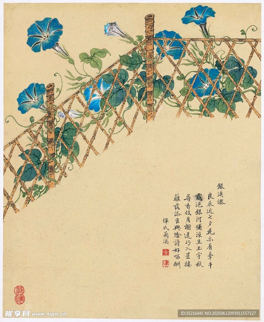 蓝牵牛花攀于竹篱图