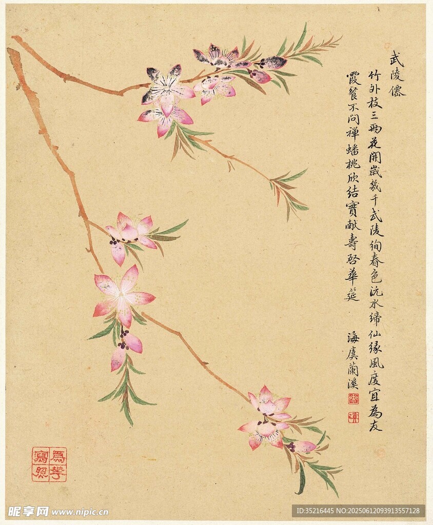 国画桃花枝