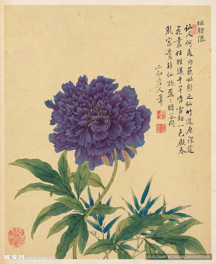 国画牡丹图