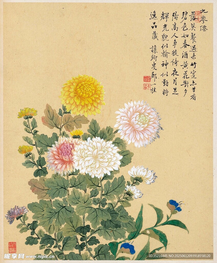 国画花卉图