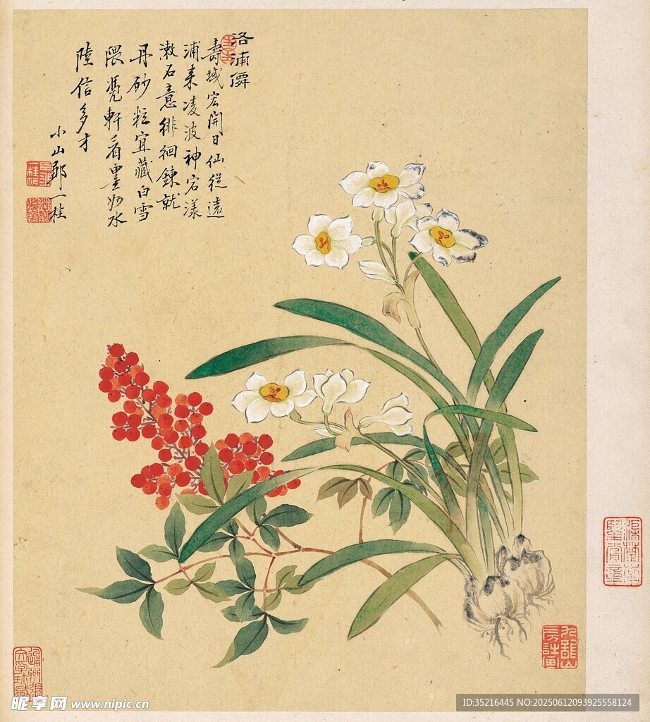 花卉国画图