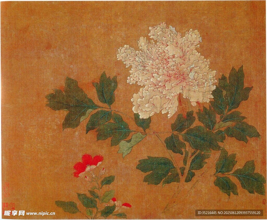 古画牡丹花卉图