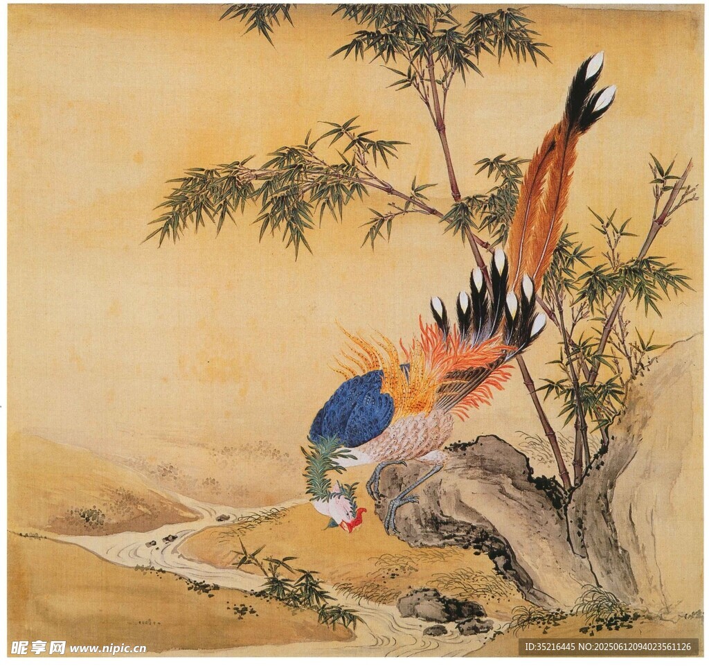 松枝上的五彩锦鸡