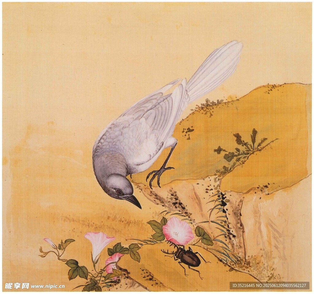 花鸟图中鸟俯身嗅花