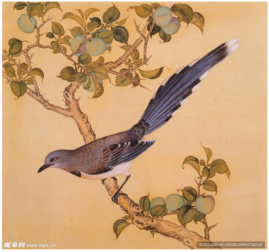 枝头鹊鸟图
