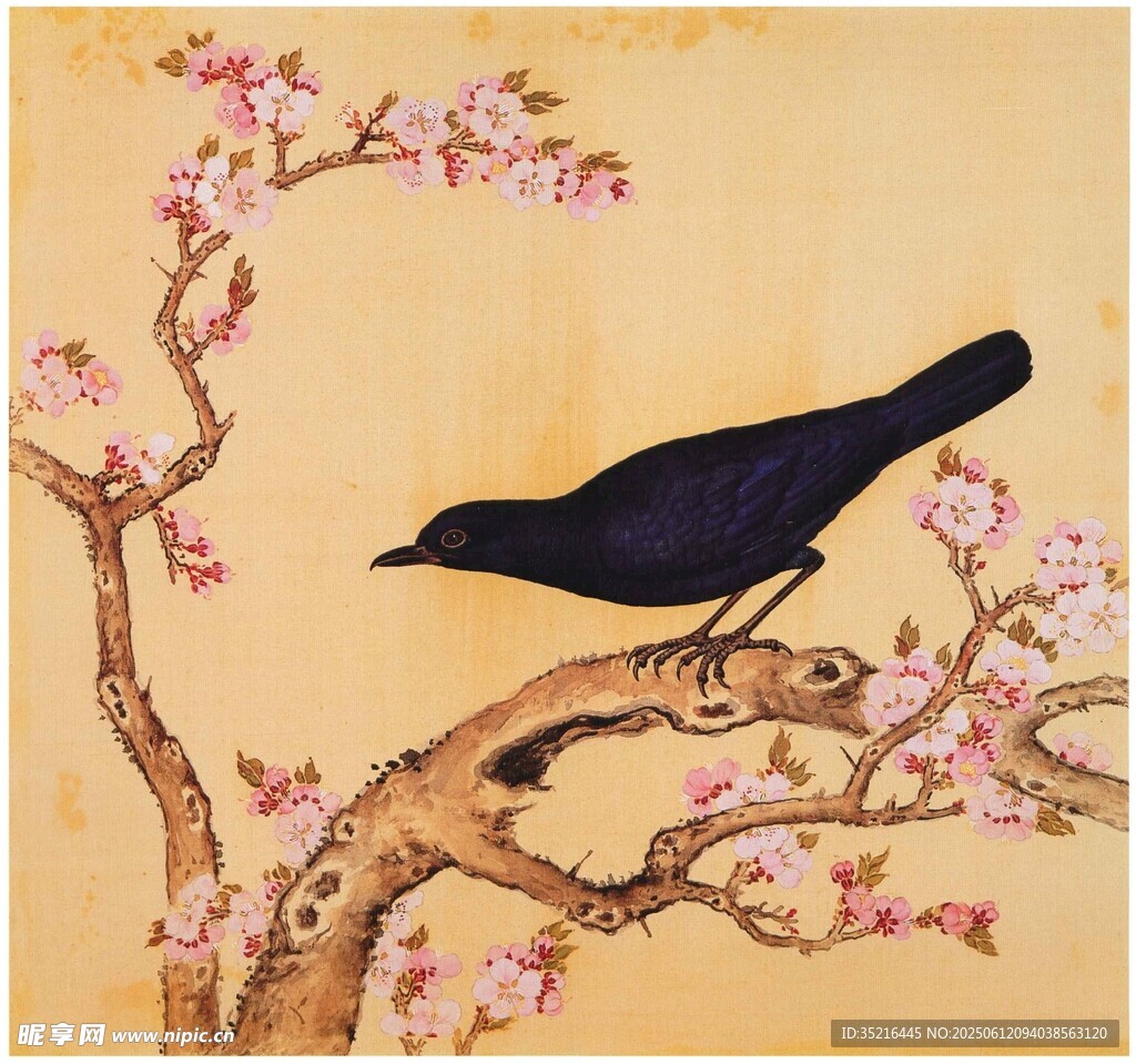 枝头黑鸟伴繁花