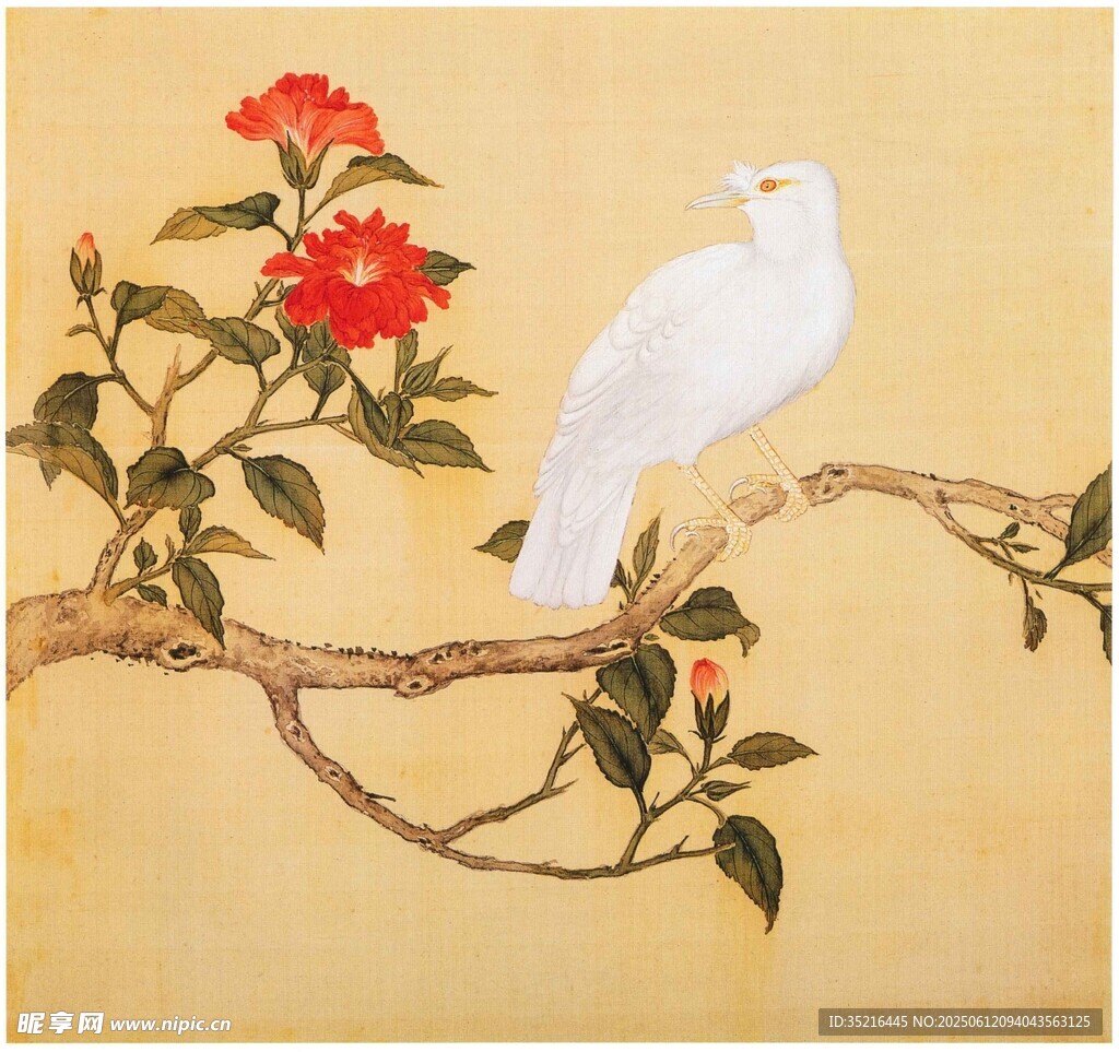 枝头白鸽伴红花