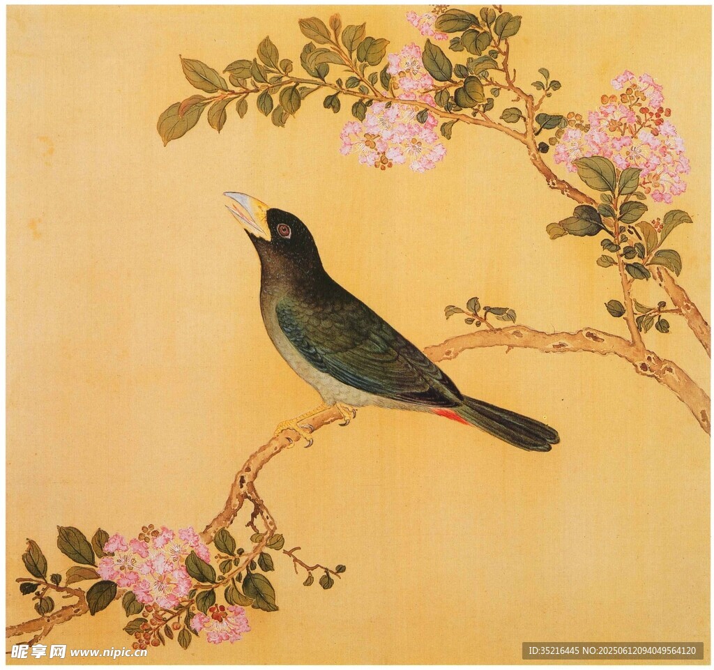 枝头小鸟伴繁花