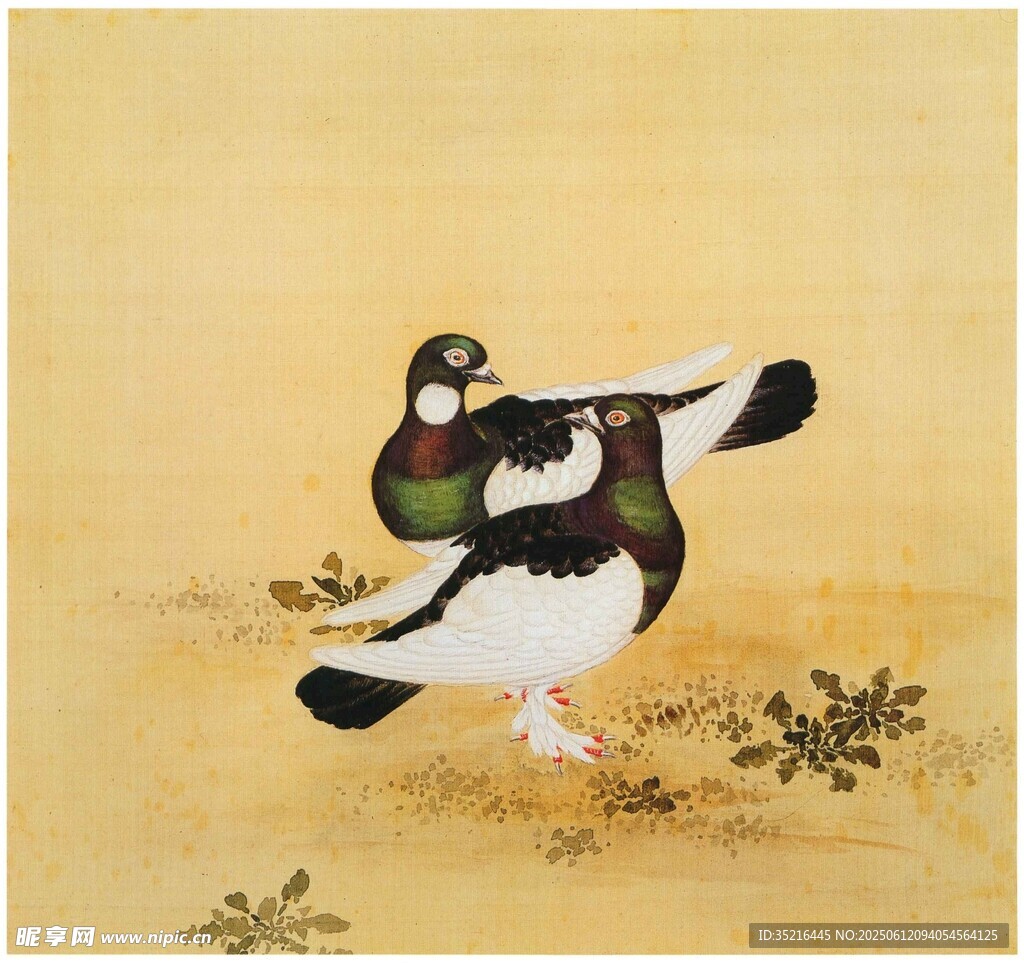 单鸭立于浅滩图