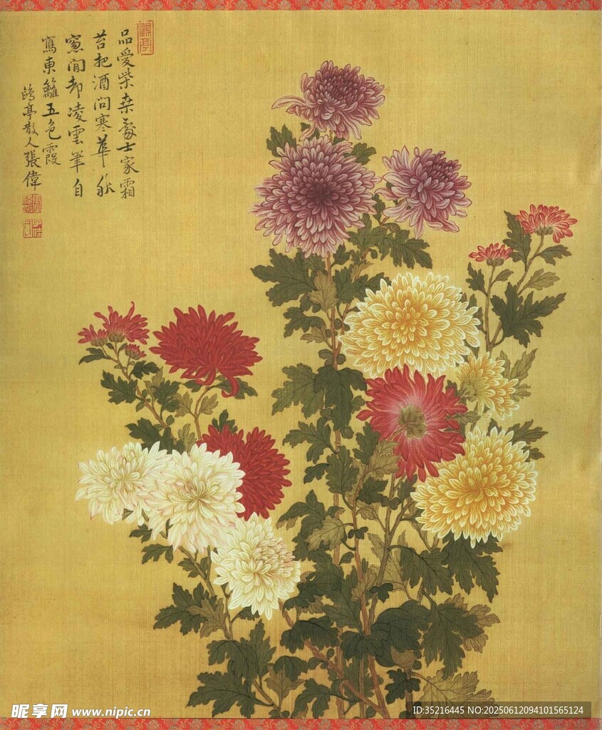 国画菊花图