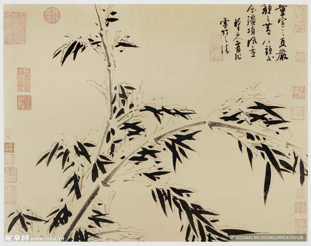 墨竹图