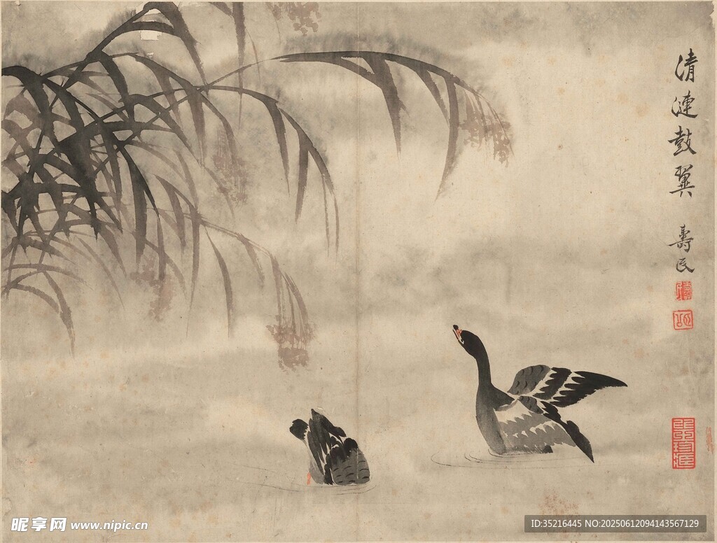 水墨双鸭图