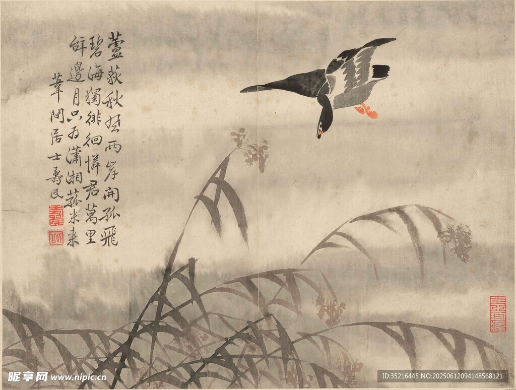 芦塘飞鸟图